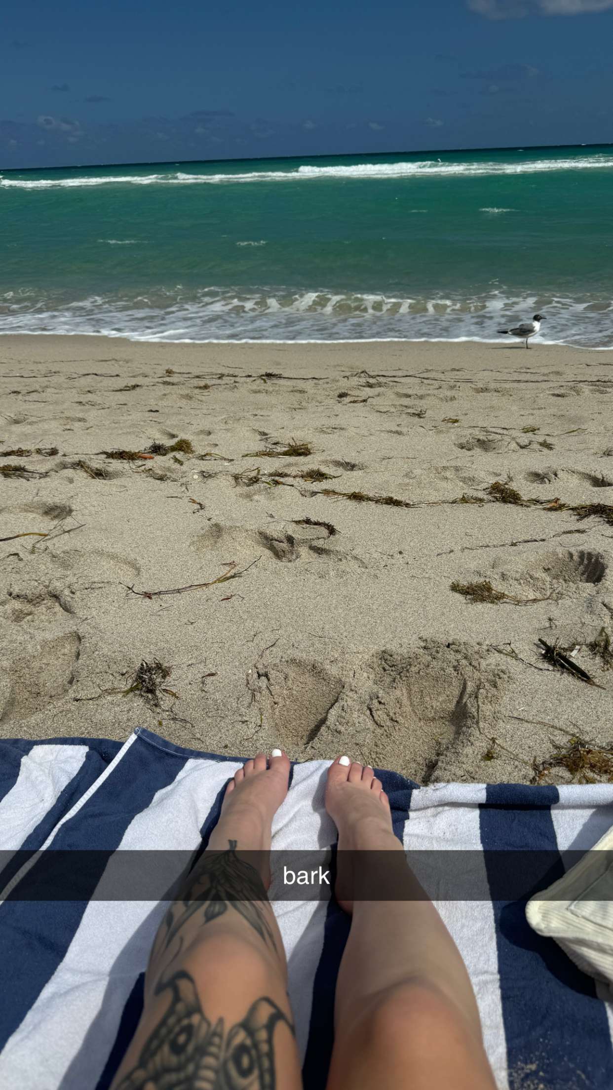 kkierstenking snapchat image archive image