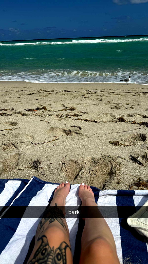 kkierstenking image ~ Altpins