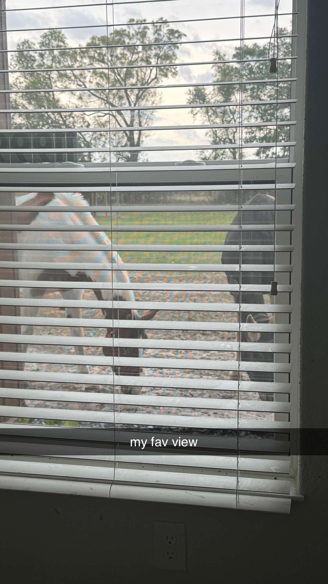 kkierstenking snapchat image archive image