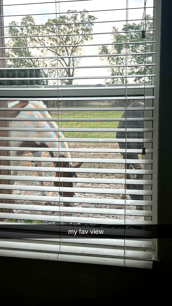 kkierstenking image ~ Altpins