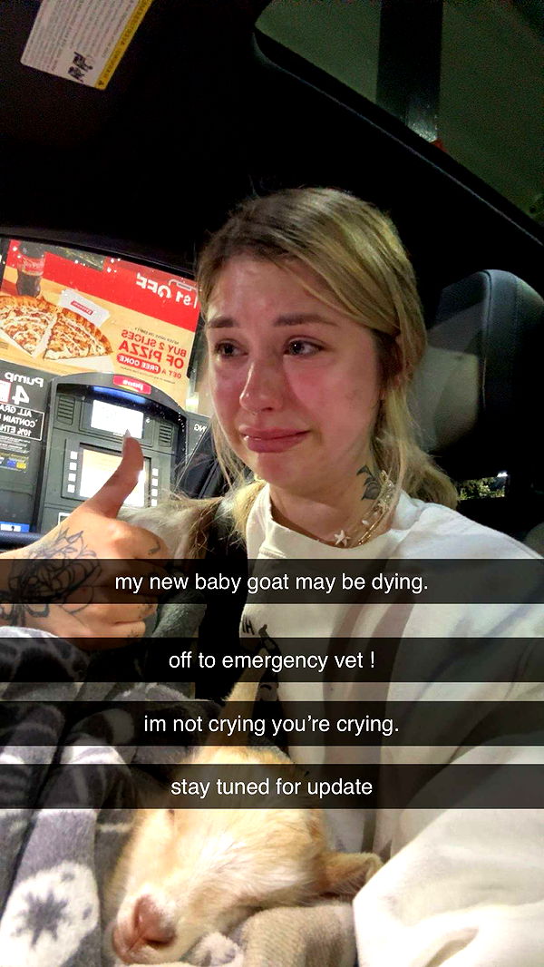 kkierstenking image ~ Altpins