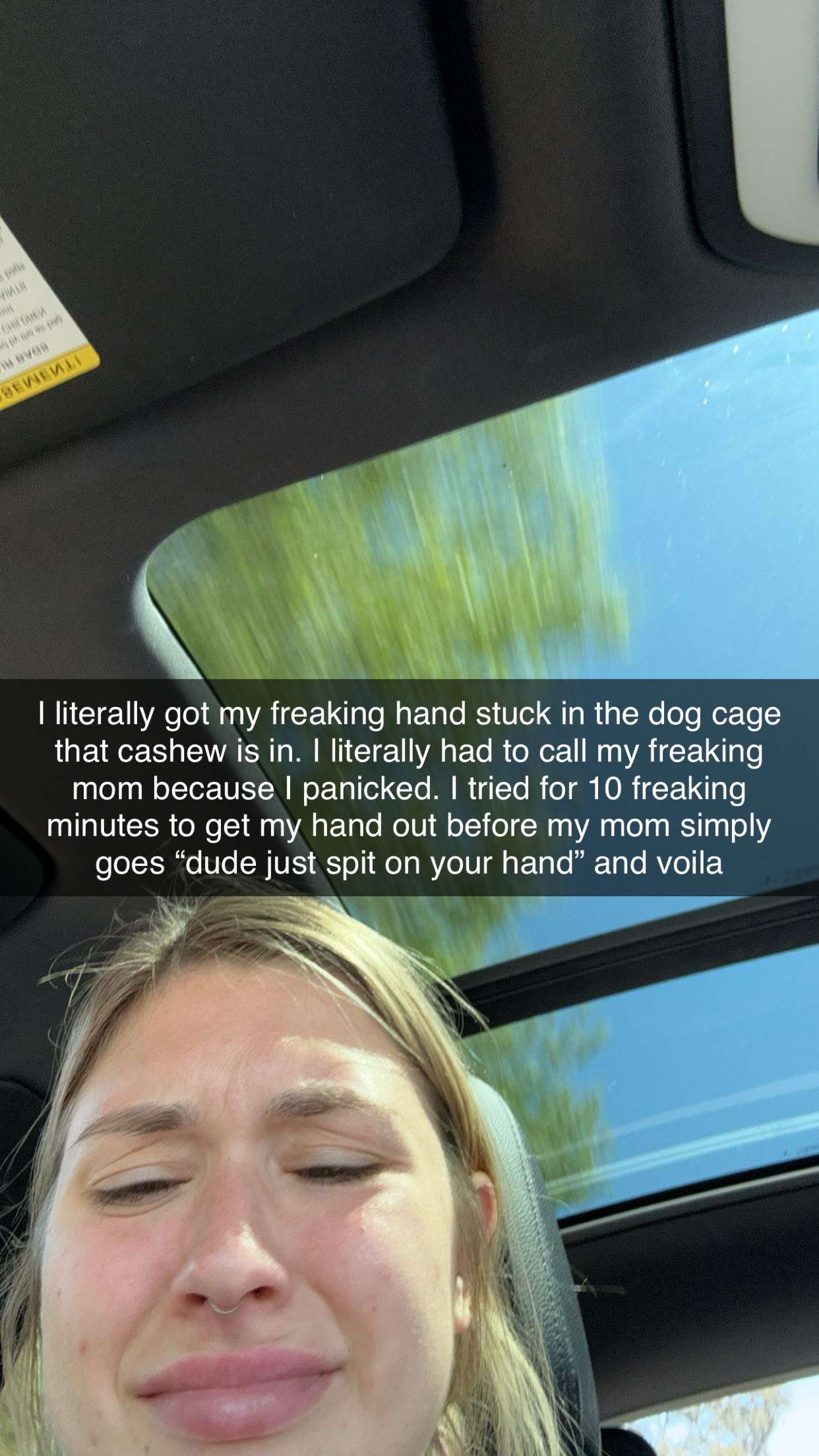 kkierstenking snapchat image archive image