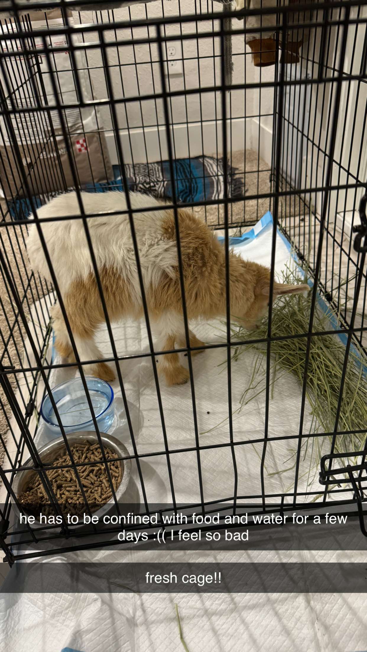 kkierstenking snapchat image archive image