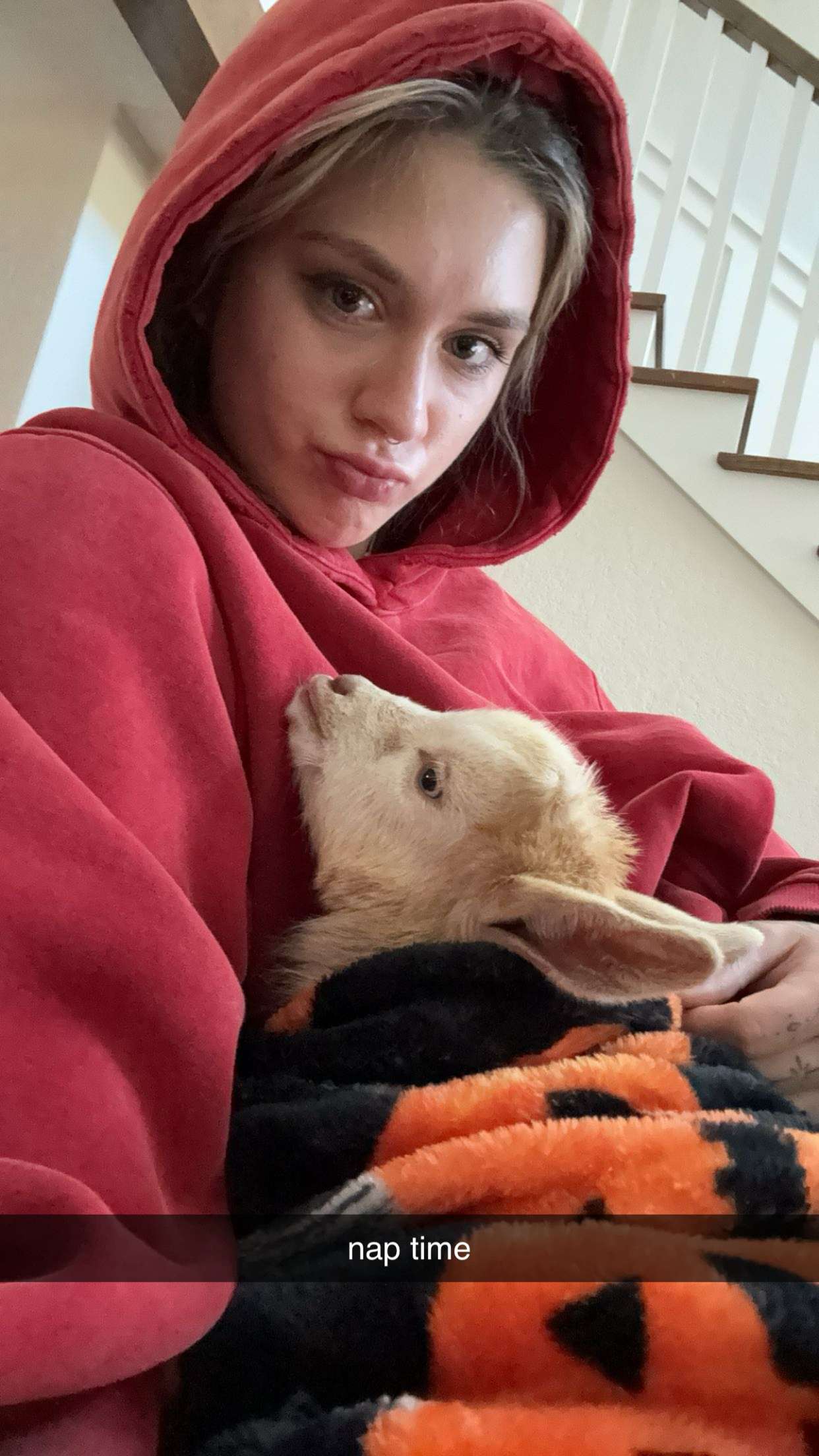 kkierstenking snapchat image archive image