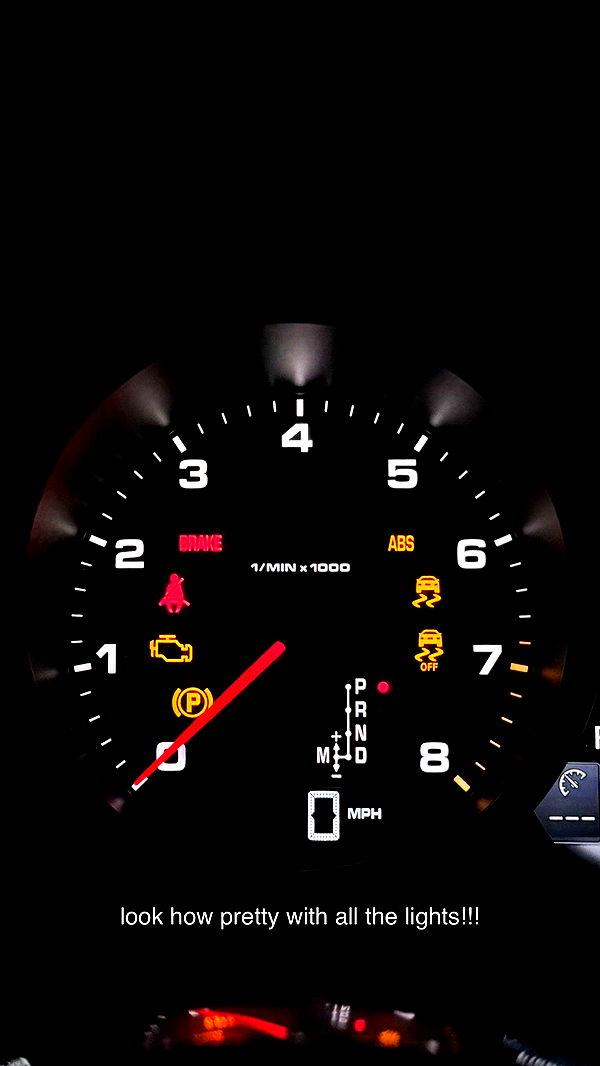 kkierstenking image ~ Altpins