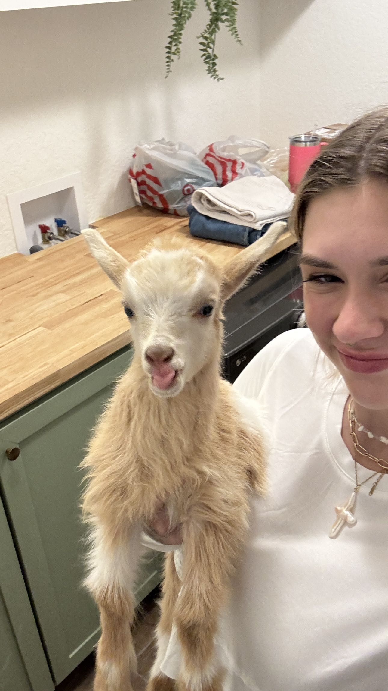 kkierstenking snapchat image archive image