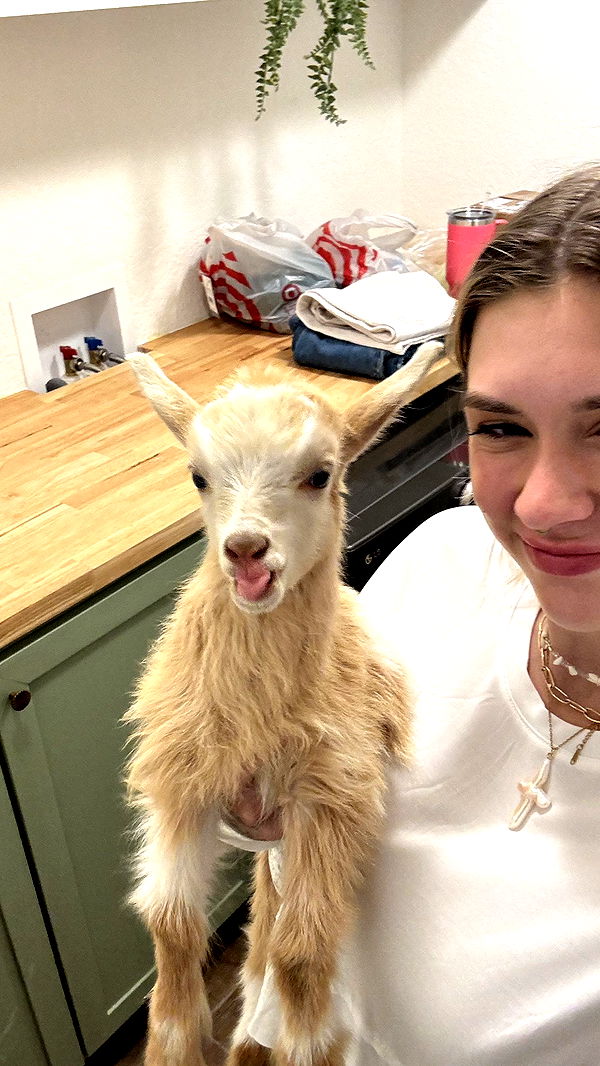 kkierstenking image ~ Altpins