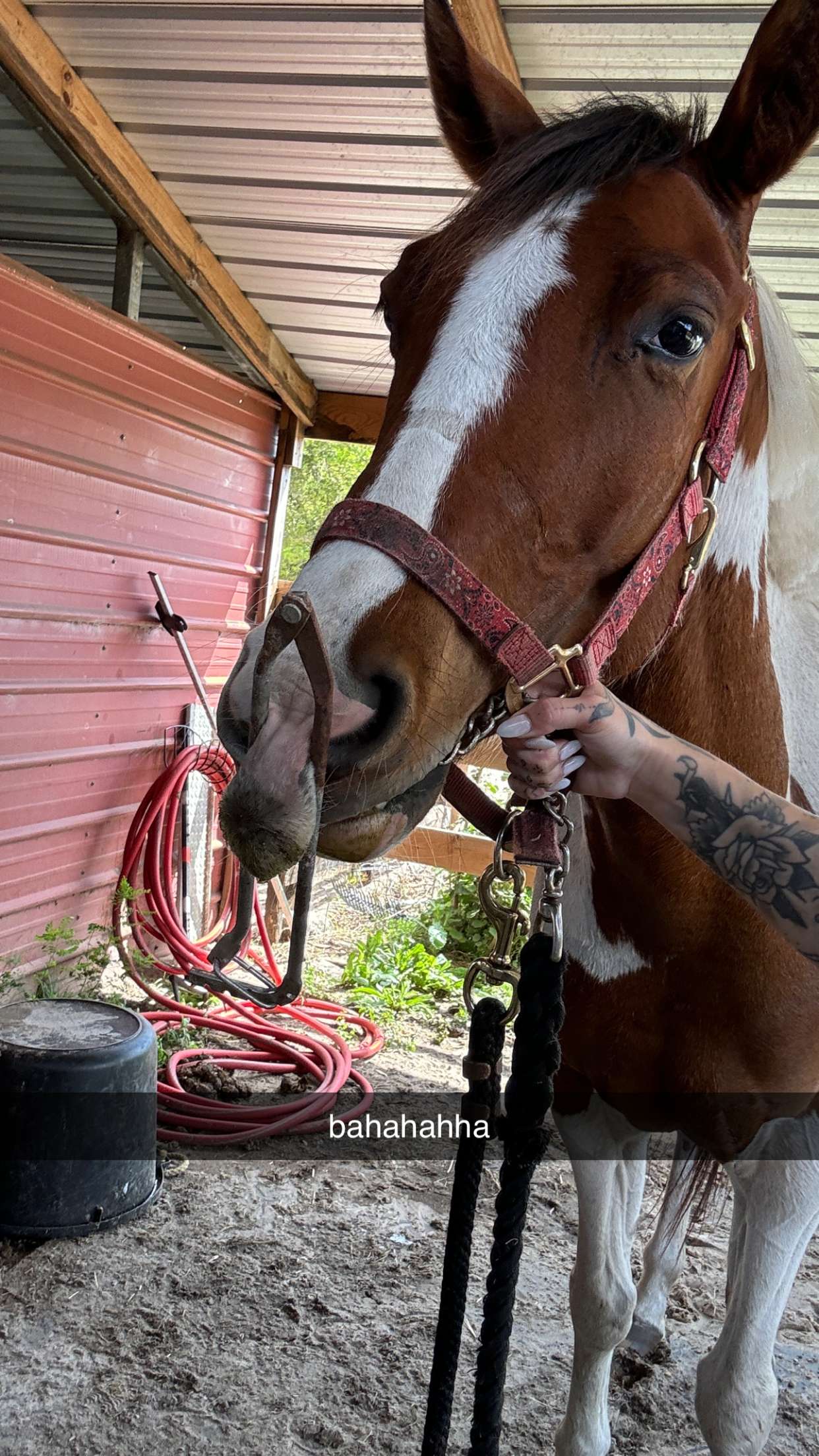 kkierstenking snapchat image archive image