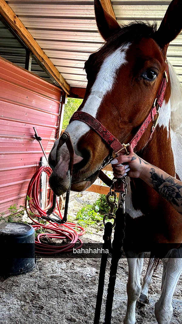 kkierstenking image ~ Altpins