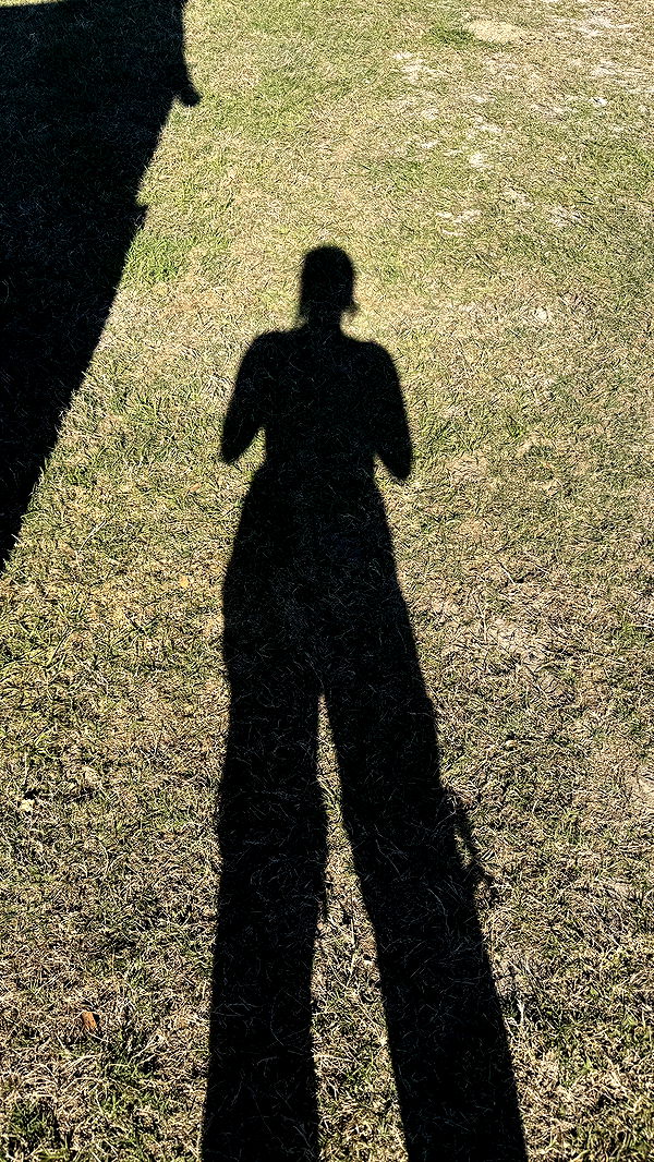 kkierstenking image ~ Altpins