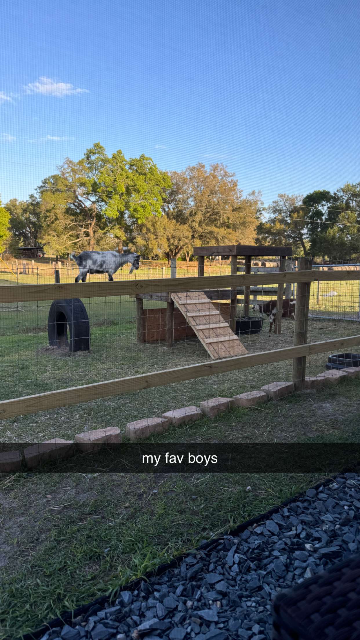 kkierstenking snapchat image archive image