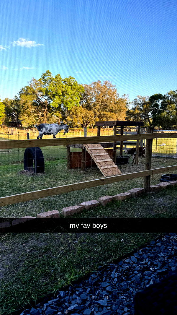 kkierstenking image ~ Altpins