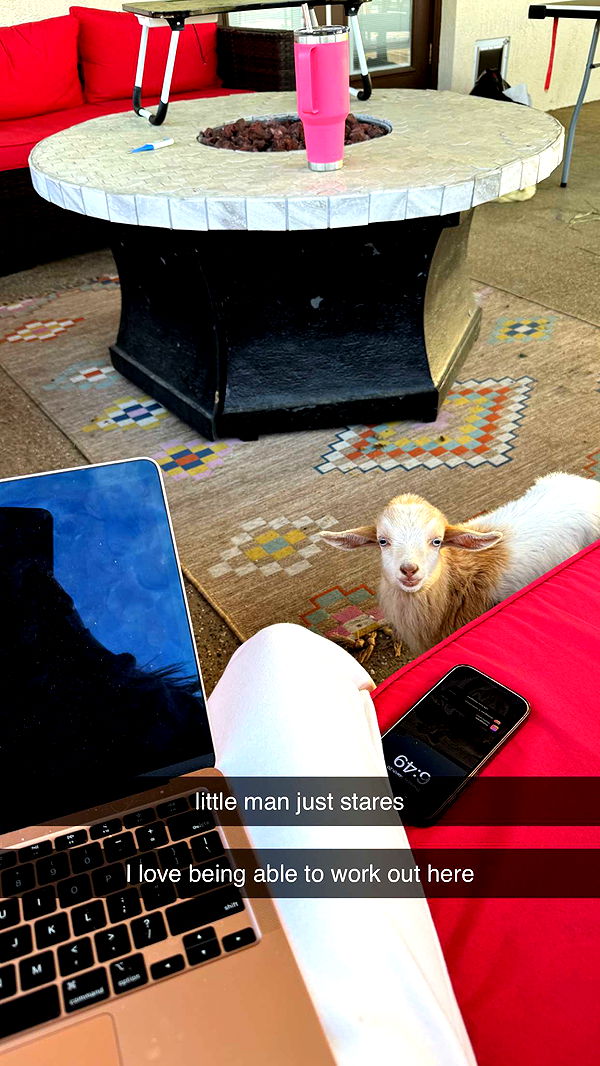 kkierstenking image ~ Altpins