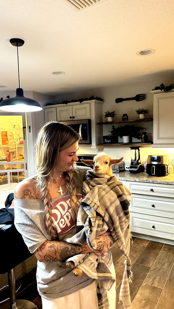 kkierstenking image ~ Altpins