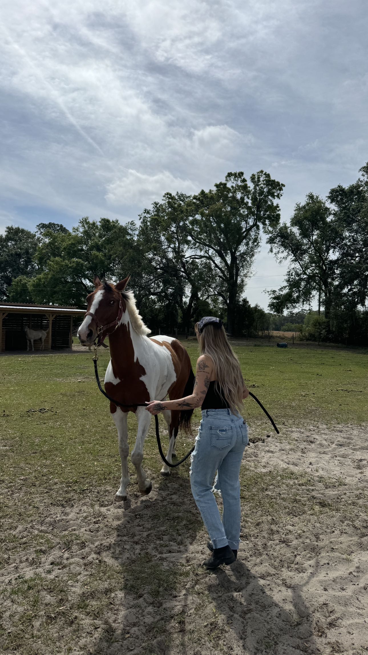 kkierstenking snapchat image archive image