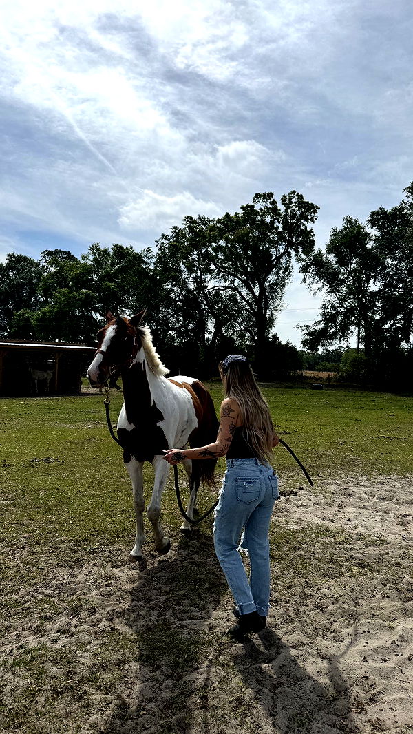 kkierstenking image ~ Altpins