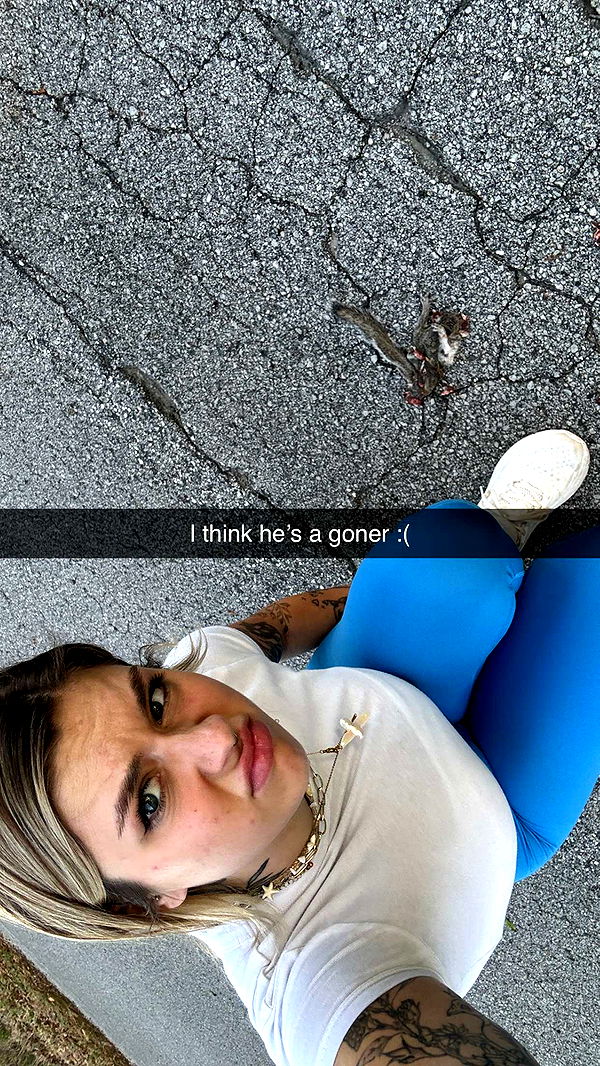 kkierstenking image ~ Altpins