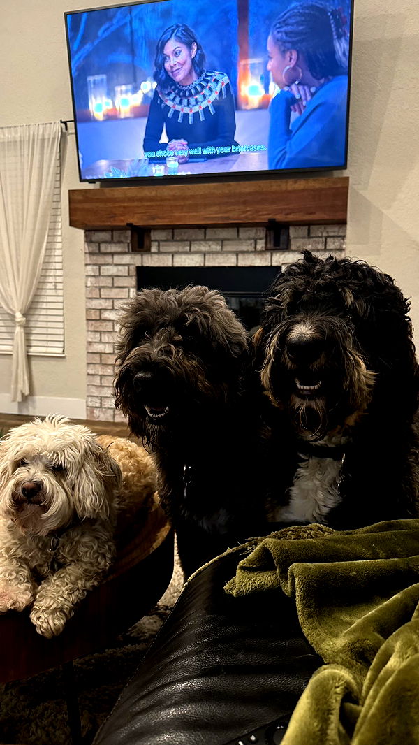 kkierstenking image ~ Altpins