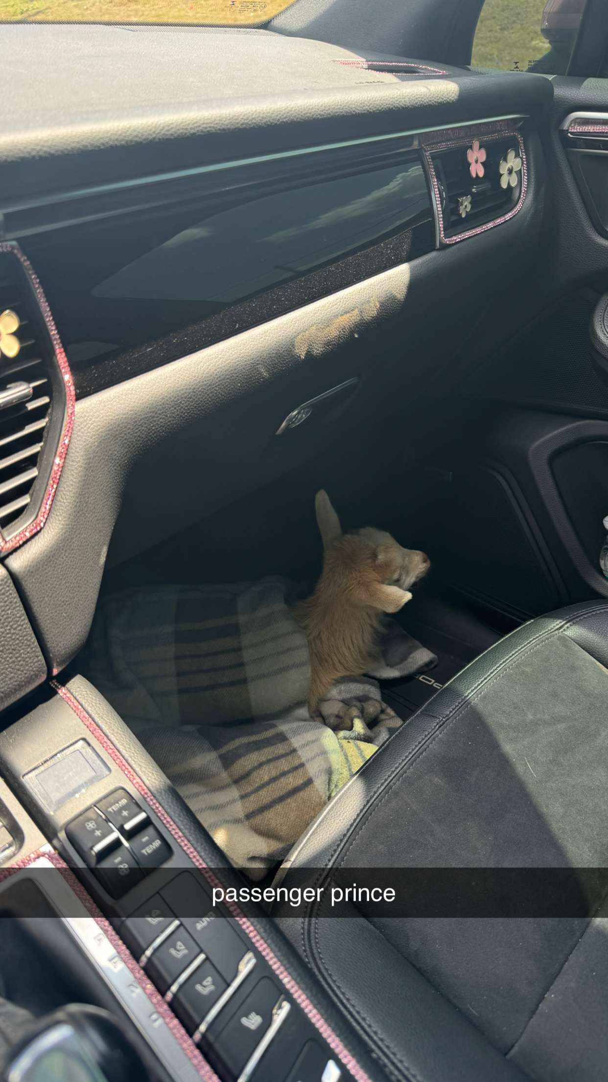 kkierstenking snapchat image archive image