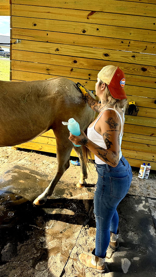 kkierstenking image ~ Altpins