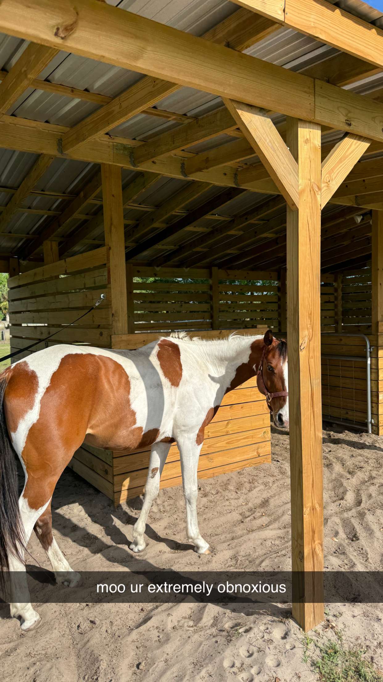 kkierstenking snapchat image archive image