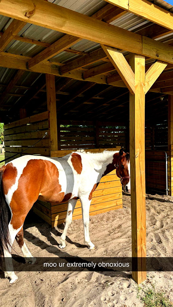 kkierstenking image ~ Altpins