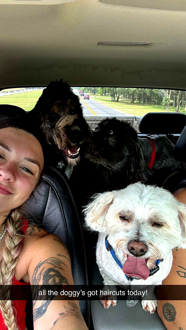 kkierstenking image ~ Altpins