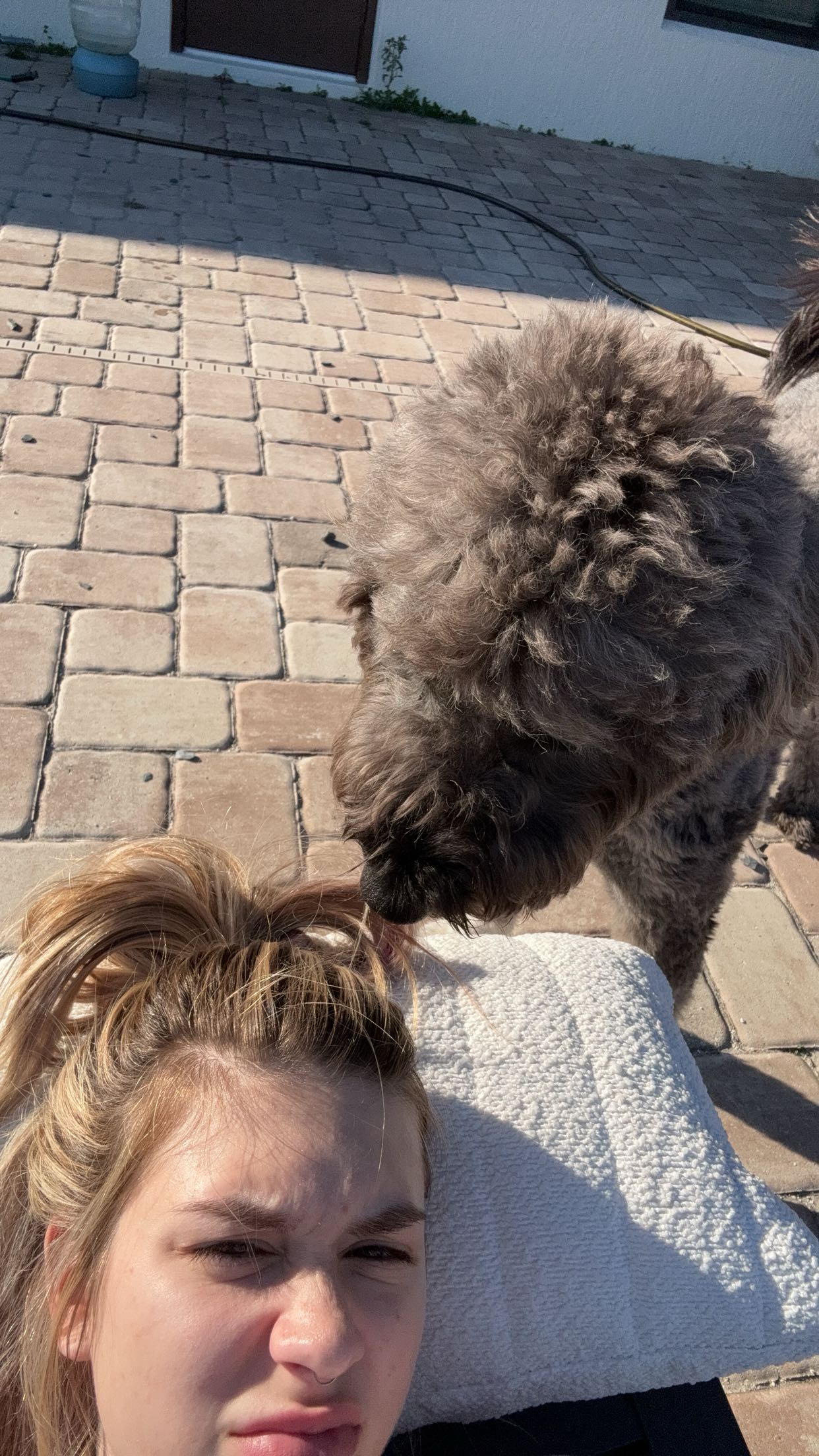 kkierstenking snapchat image archive image