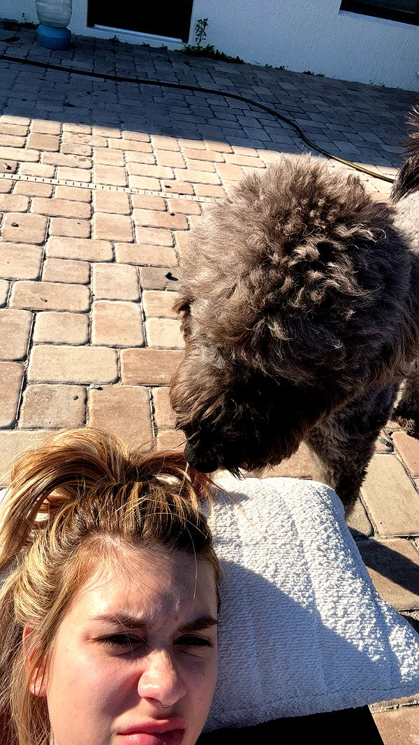 kkierstenking image ~ Altpins