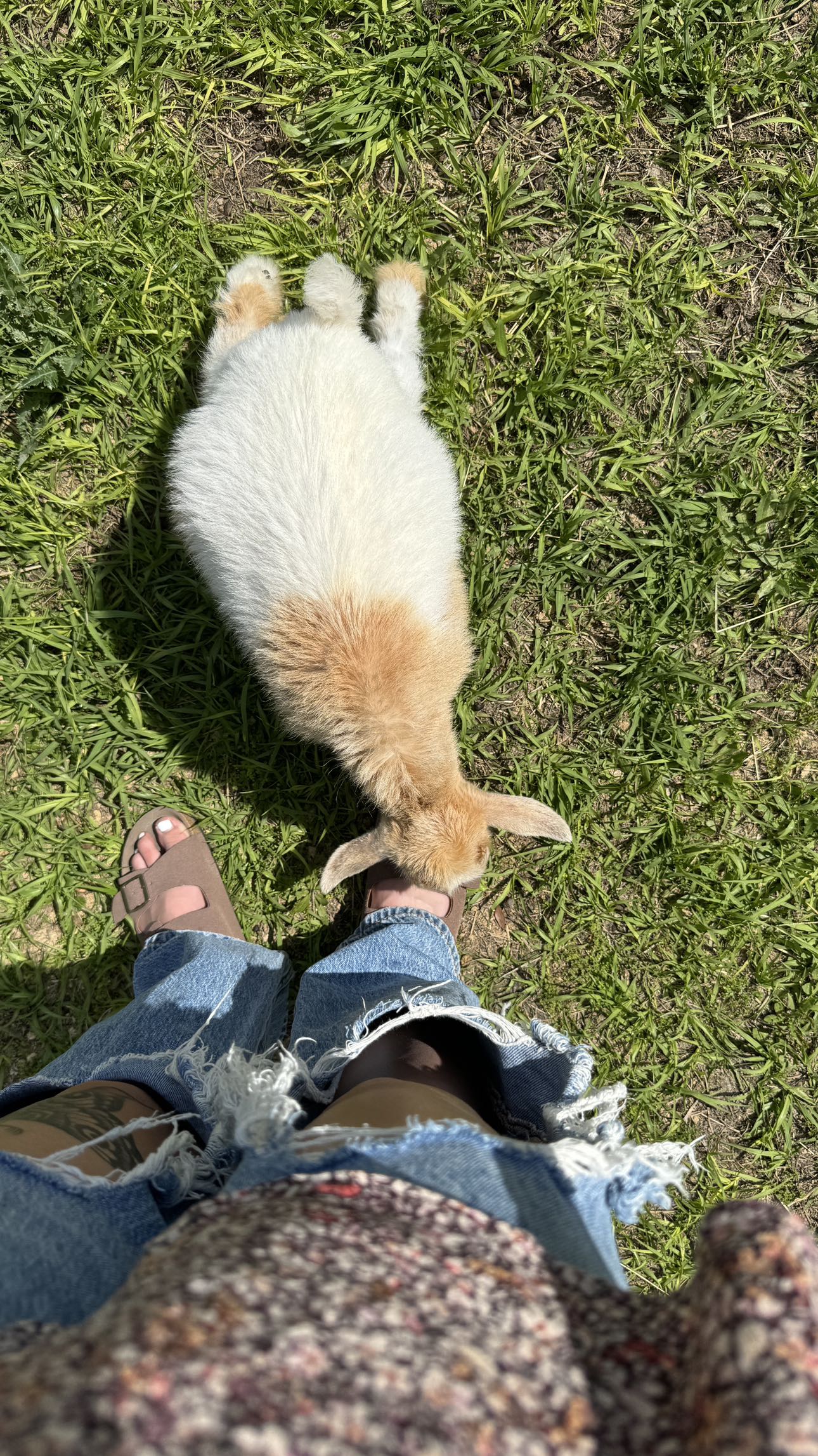 kkierstenking snapchat image archive image