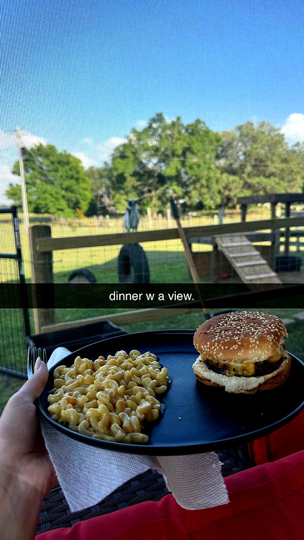 kkierstenking image ~ Altpins