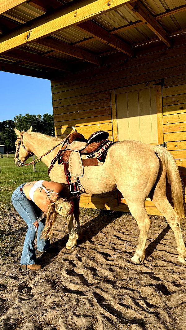 kkierstenking image ~ Altpins