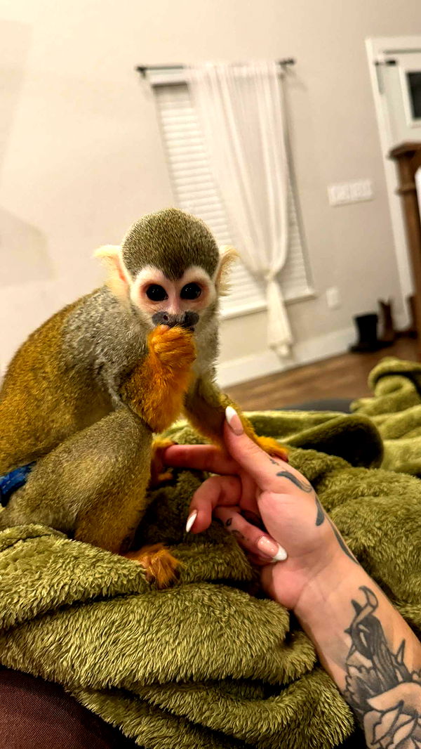 kkierstenking image ~ Altpins