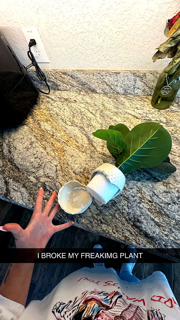 kkierstenking image ~ Altpins