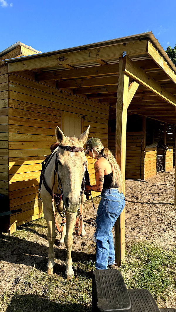 kkierstenking image ~ Altpins