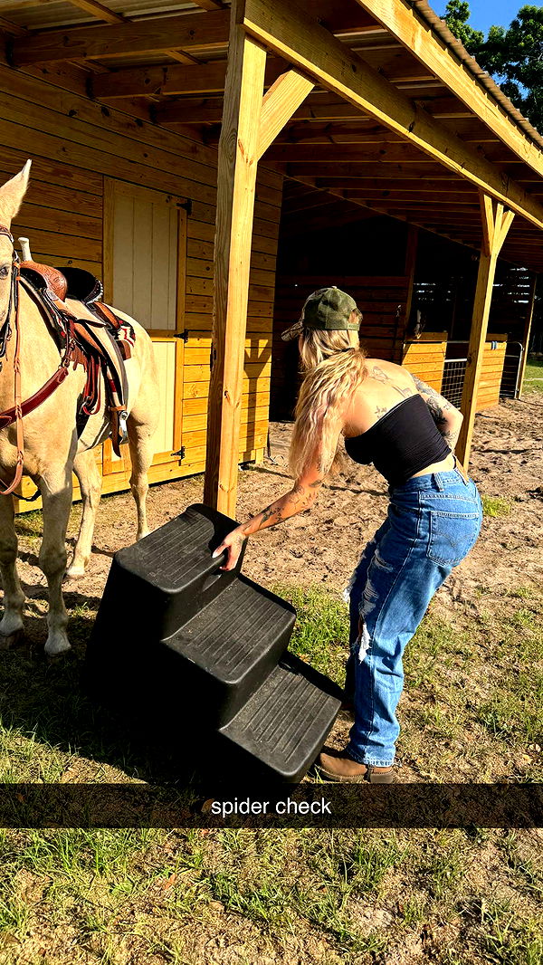 kkierstenking image ~ Altpins