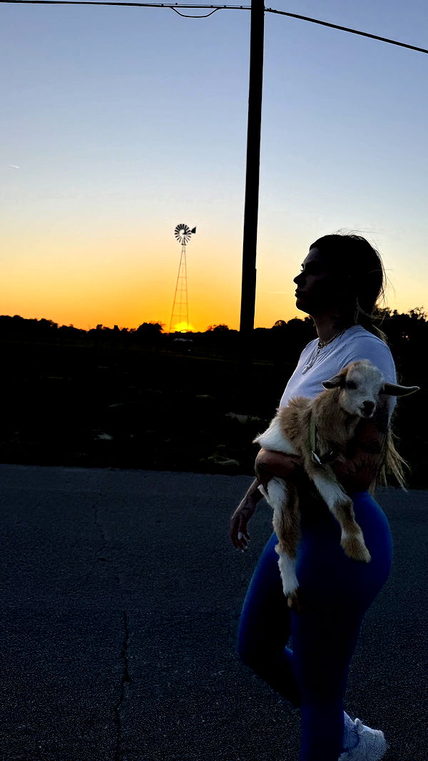 kkierstenking image ~ Altpins