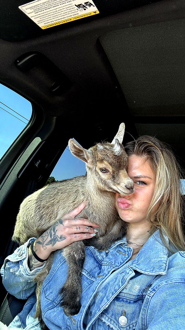 kkierstenking image ~ Altpins