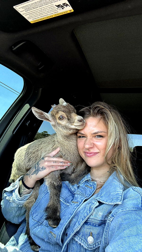 kkierstenking image ~ Altpins