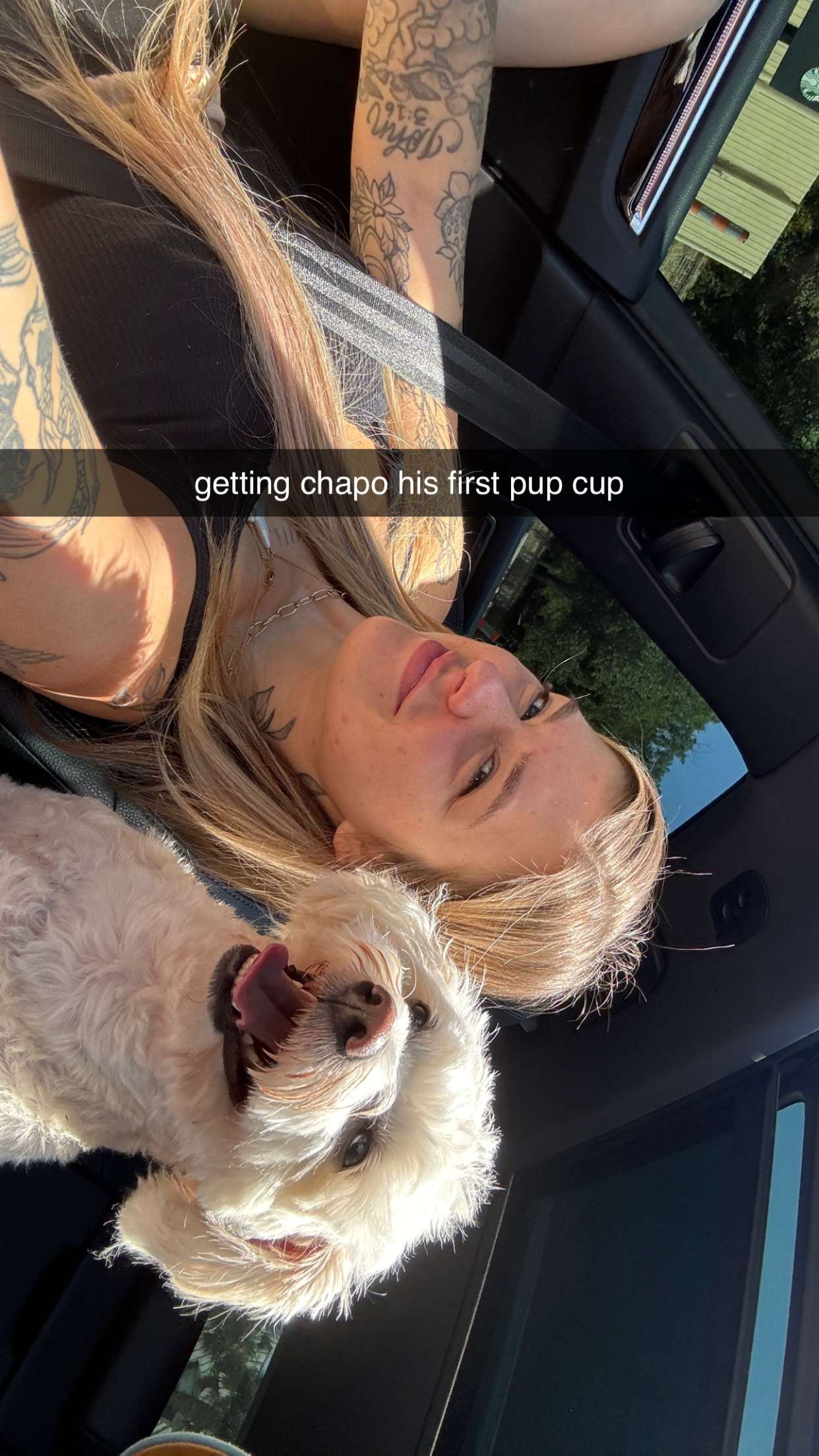 kkierstenking snapchat image archive image