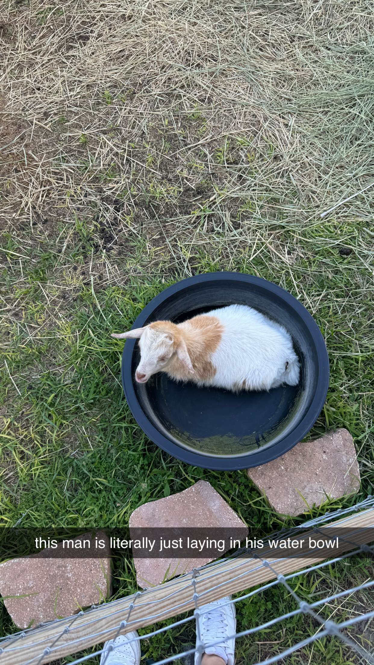 kkierstenking snapchat image archive image