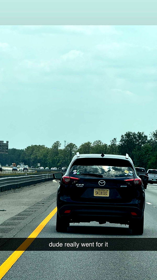 kkierstenking image ~ Altpins