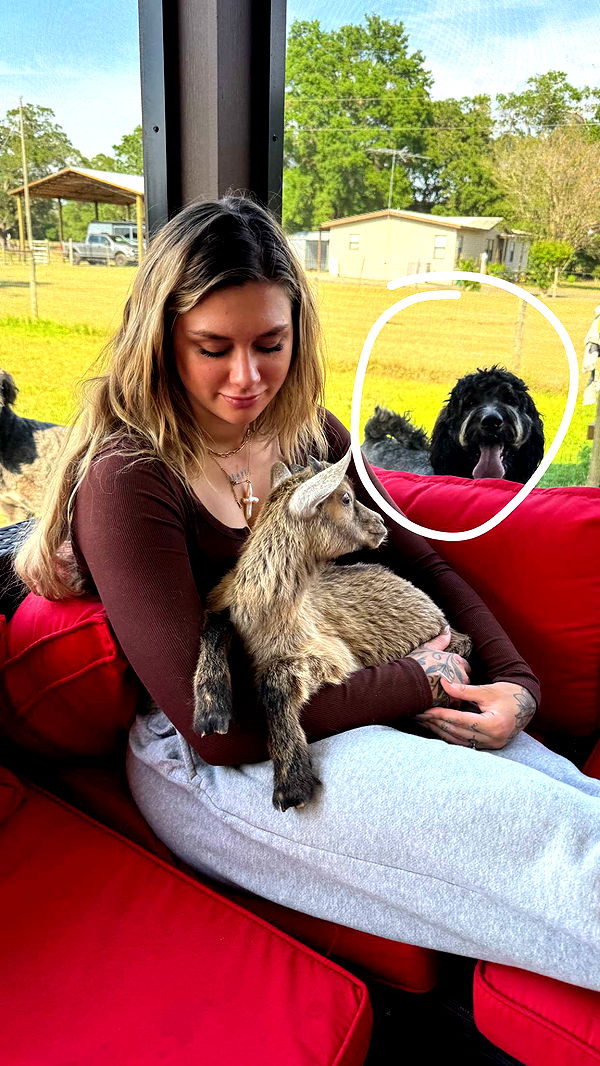 kkierstenking image ~ Altpins