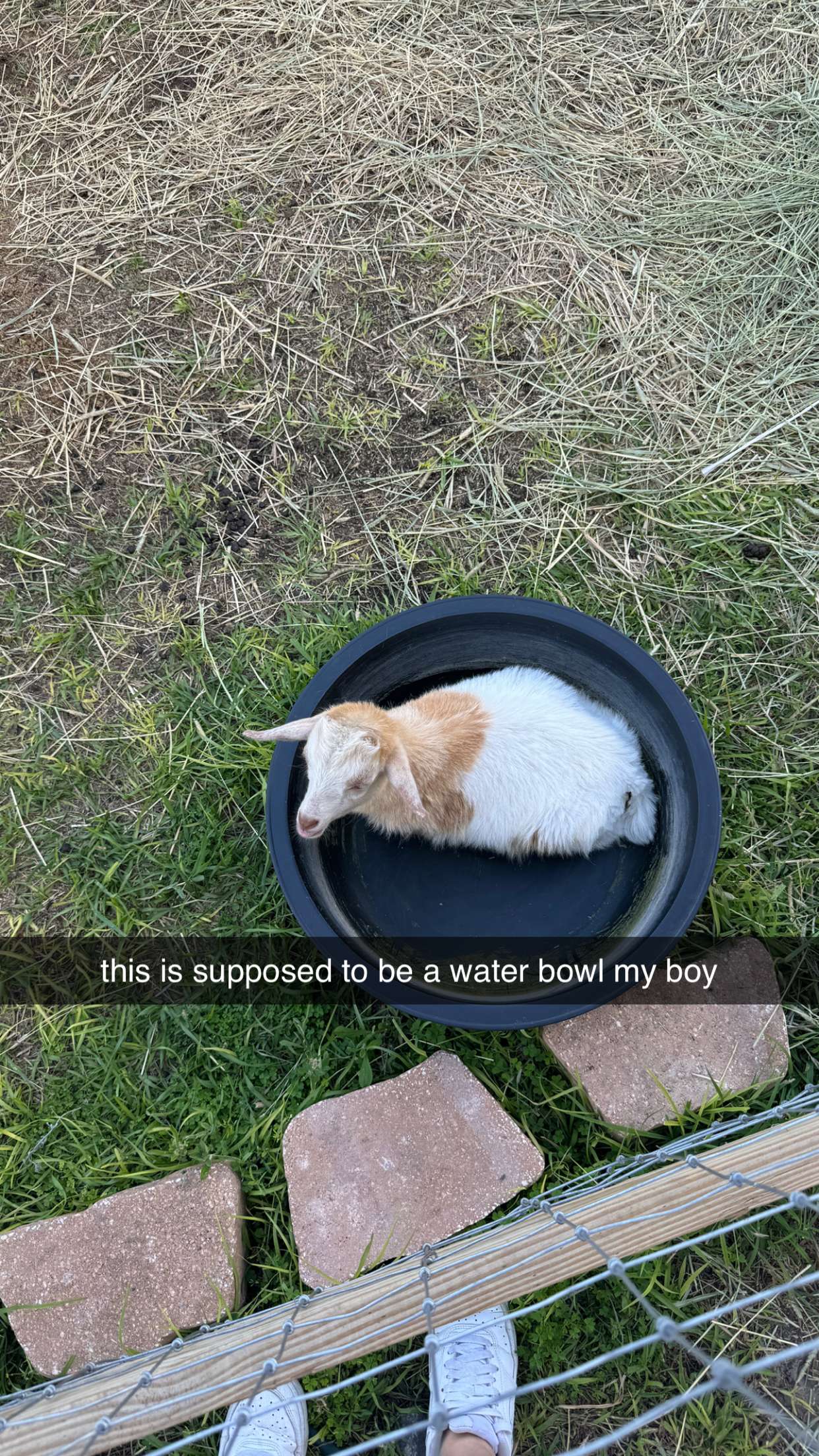 kkierstenking snapchat image archive image