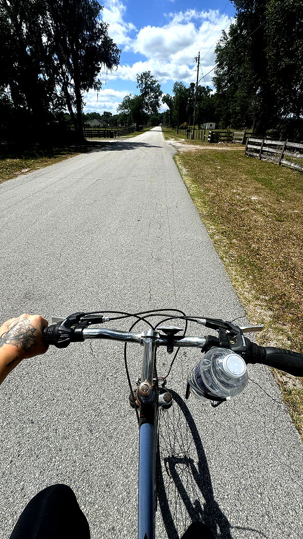 kkierstenking image ~ Altpins