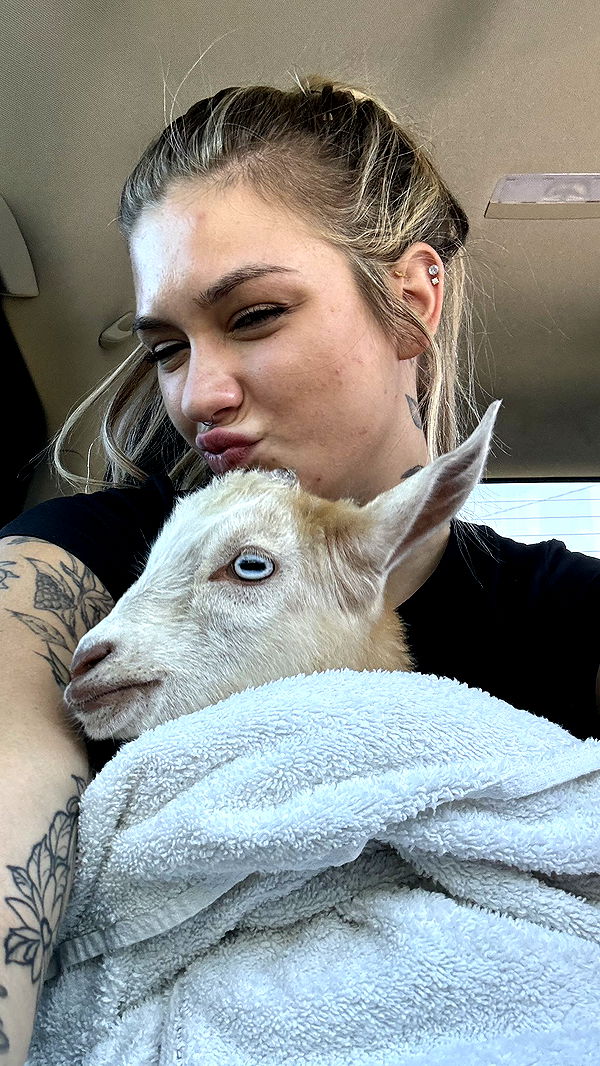 kkierstenking image ~ Altpins