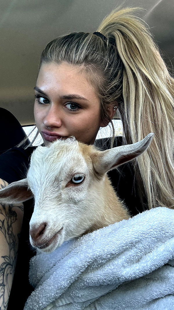 kkierstenking image ~ Altpins