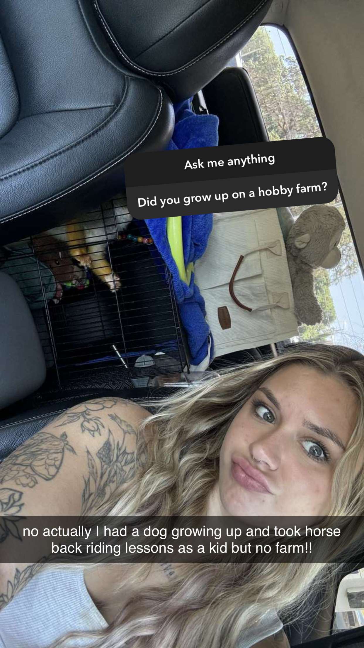 kkierstenking snapchat image archive image