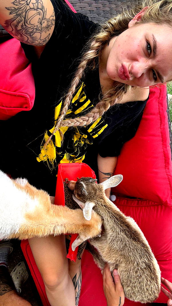 kkierstenking image ~ Altpins