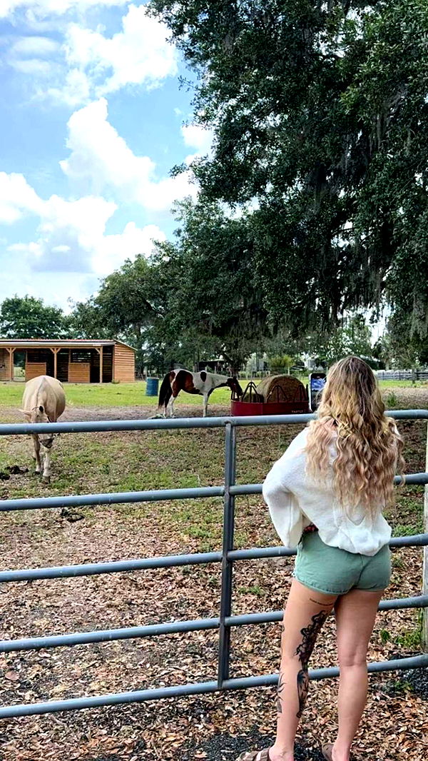 kkierstenking image ~ Altpins